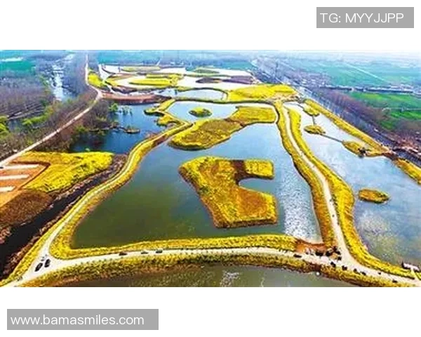 北京足球队焕发新生力量探讨球队改革与未来发展之路