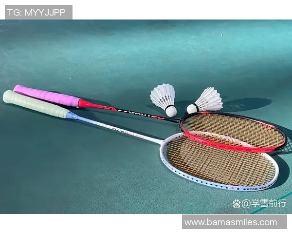 维迪斯与尼斯激战正酣谁将赢得这场精彩对决的胜利