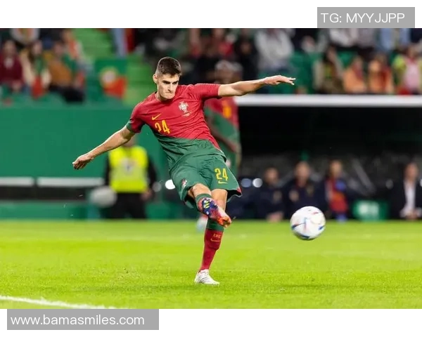 若昂内维斯的崛起之路与未来发展潜力分析