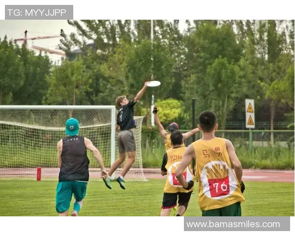 飞盘运动的崛起与刘娜的成功经验分享 飞盘运动的崛起与刘娜的成功经验分享